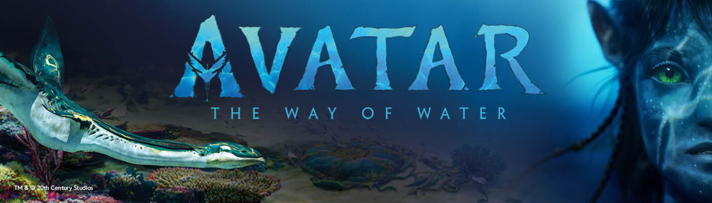 Get the merch from the film! / Discover now!