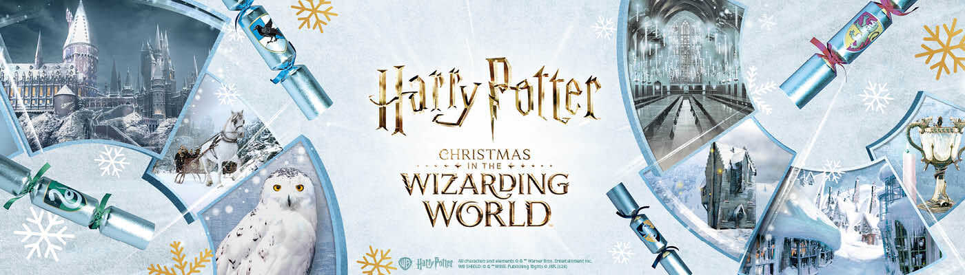 Christmas in the Wizarding World / Discover now!