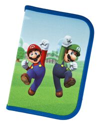 Mario and Luigi, Super Mario, Case