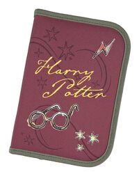Harry Potter, Harry Potter, Case