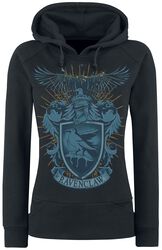 Ravenclaw, Harry Potter, Hooded sweater
