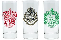 Hogwarts, Slytherin and Gryffindor, Harry Potter, Drinking Glass