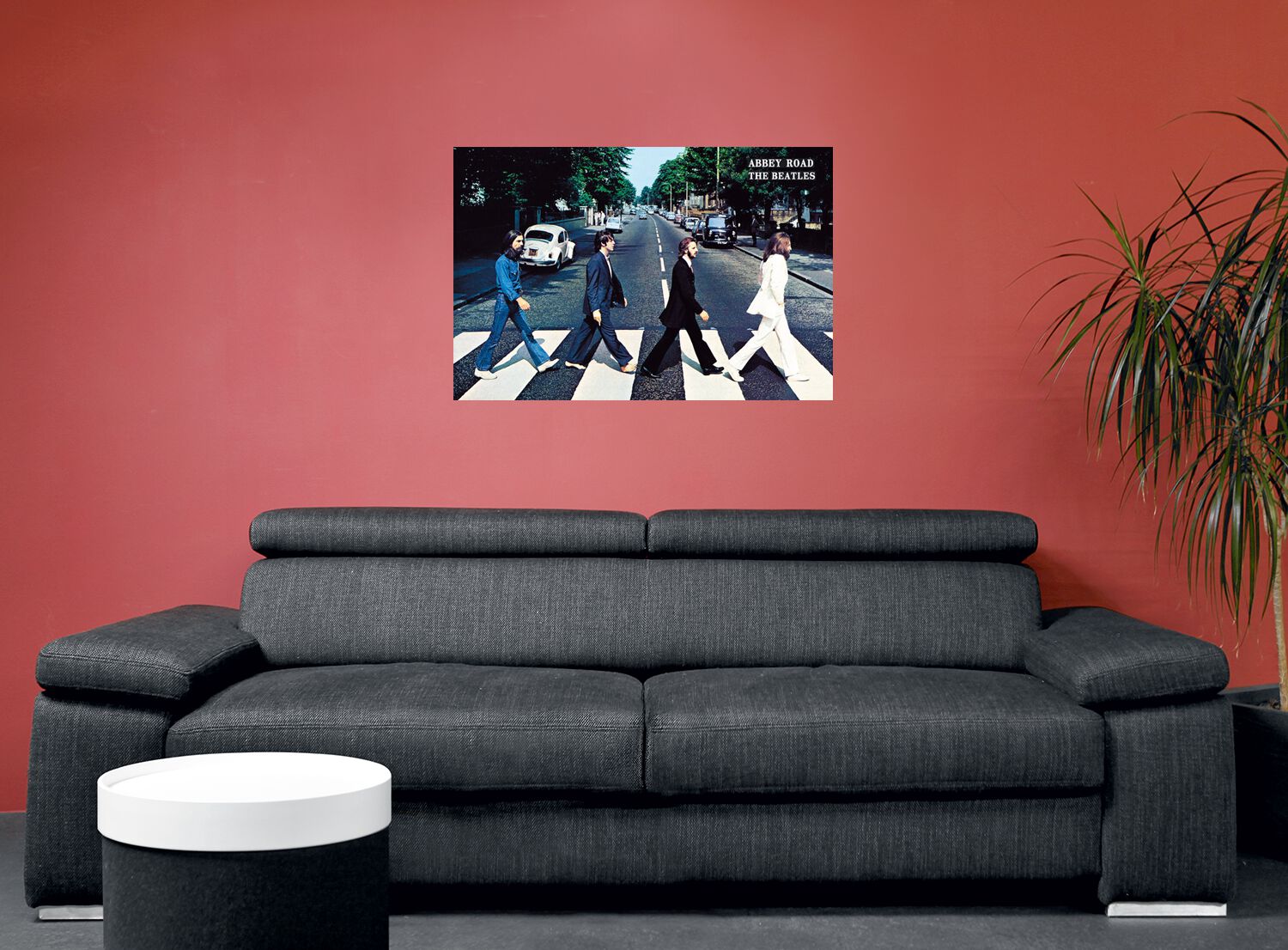 5CD＋1DVD！Beatles/ 焼き付き Abbey Road Show 1983